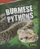 Burmese_pythons