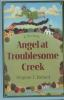Angel_at_Troublesome_Creek