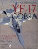 Northrop_s_YF-17_Cobra