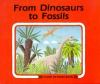 From_dinosaurs_to_fossils