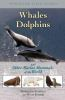 Whales__dolphins__and_other_marine_mammals_of_the_world
