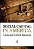 Social_capital_in_America