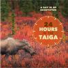 24_hours_in_the_taiga