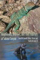 Amphibians__reptiles__and_their_habitats_at_Sabino_Canyon