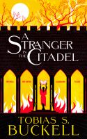 A_stranger_in_the_citadel